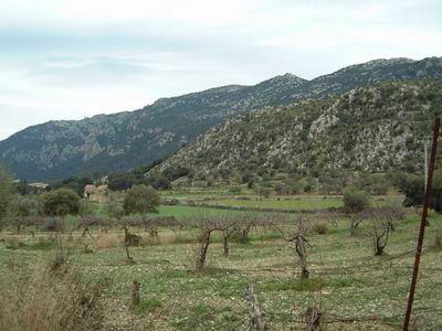 DSCF0043.JPG